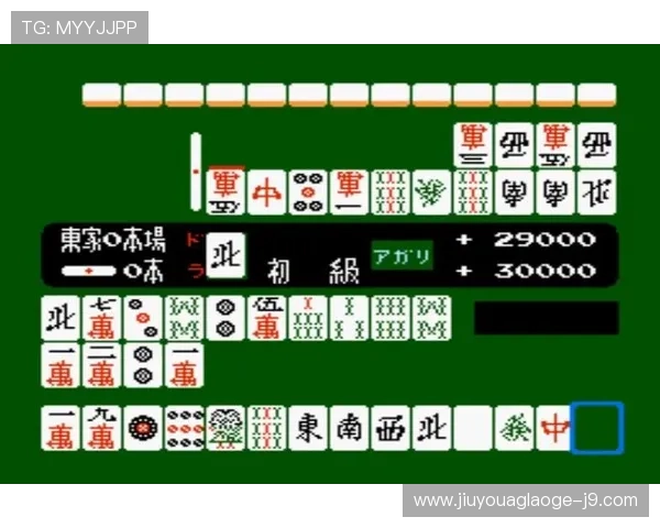 二人麻将玩法详解，轻松掌握双人麻将的基本规则与技巧